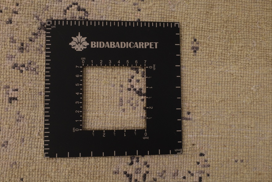 MODERN LOTUS Carpet 305x199