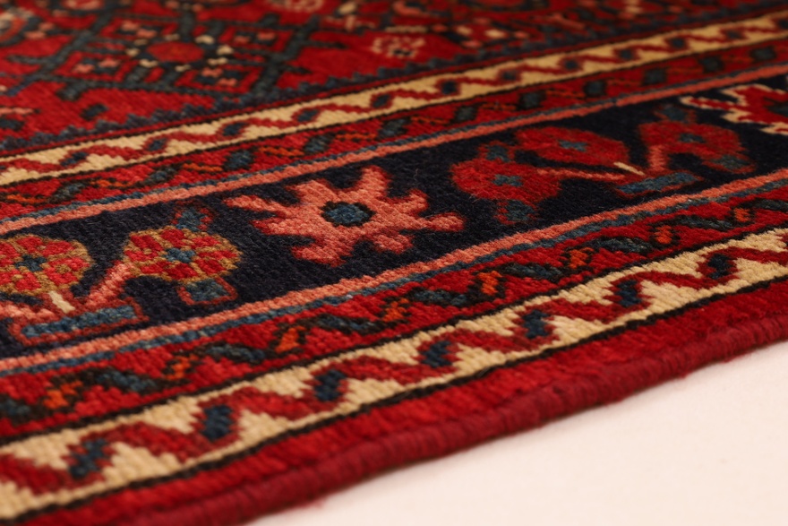 Hamadan Carpet  450x100