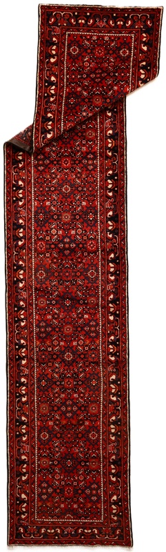 Hamadan Carpet 390x80