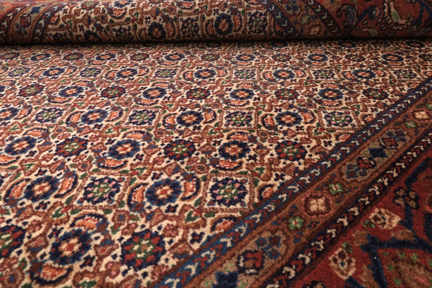 Moud Carpet  222x147
